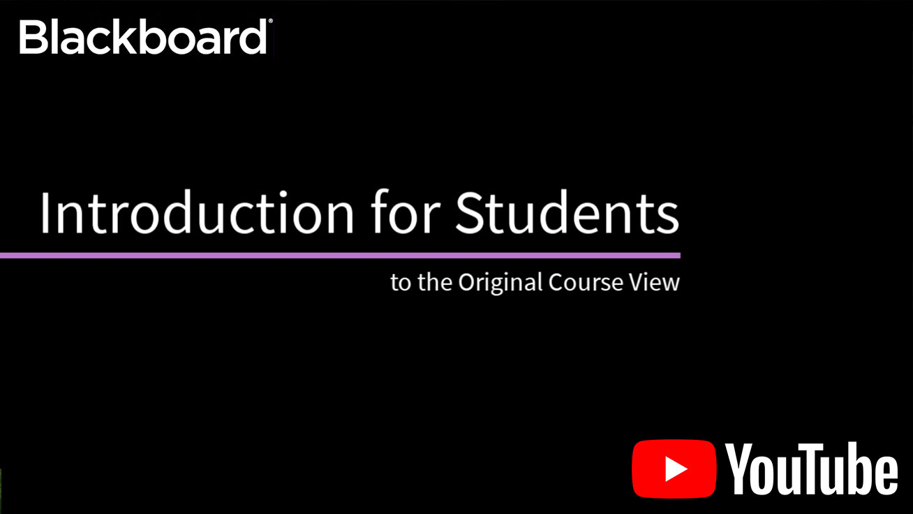 Blackboard - Introduction to the Original Course View for Students
